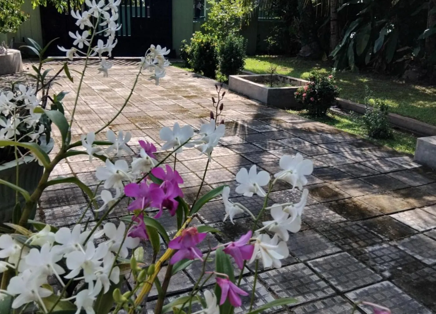 Negombo Holiday Villa Rum i privatbostad